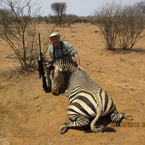 Hartmann's Mountain Zebra Hunt Namibia