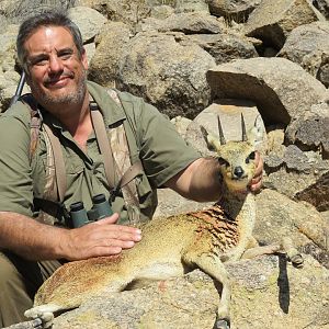 klipspringer Hunt Namibia