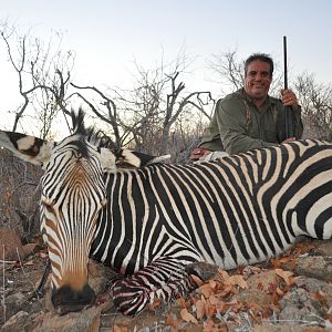 Hartmann's Mountain Zebra Hunt Namibia