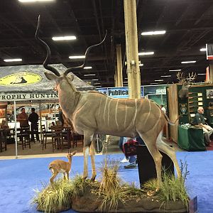 Kudu full mount taxidermy