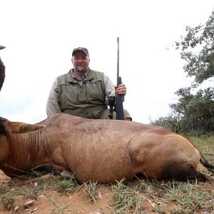 Red Hartebeest Hunting in South Africa