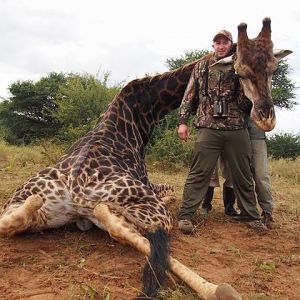 Hunting Giraffe in South Africa