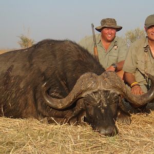 Hunting Buffalo in Zimbabwe