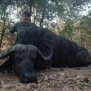 Hunting Buffalo in Zimbabwe