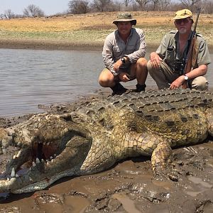 Crocodile Hunting in Zimbabwe