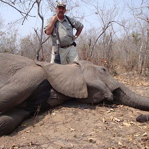 Zimbabwe Tuskless Elephant Hunting