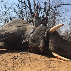 Zimbabwe Elephant Hunting