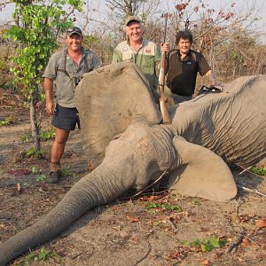 Zimbabwe Tuskless Elephant Hunting