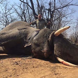 Zimbabwe Elephant Hunting