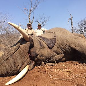 Zimbabwe Elephant Hunting