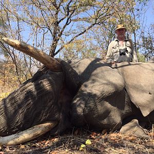 Zimbabwe Elephant Hunting