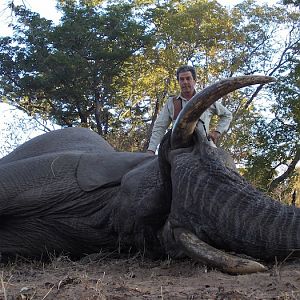 Zimbabwe Elephant Hunting