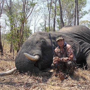 Zimbabwe Elephant Hunting