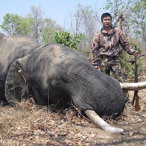 Zimbabwe Elephant Hunting