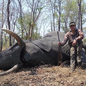 Zimbabwe Elephant Hunting