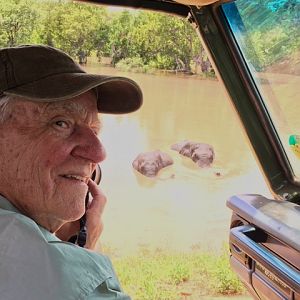 Elephant emerging from river