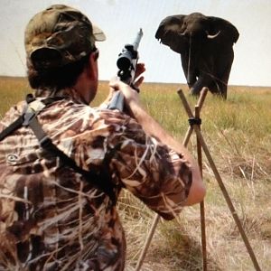 Elephant hunting in Namibia