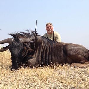 Blue Wildebeest Hunting in Zimbabwe