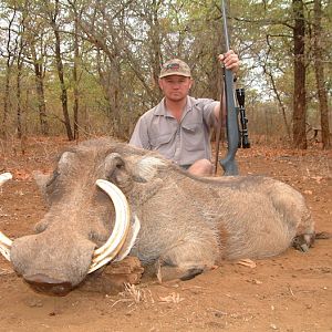 Hunting Warthog in Zimbabwe