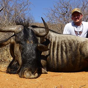 Blue Wildebeest Hunting in South Africa