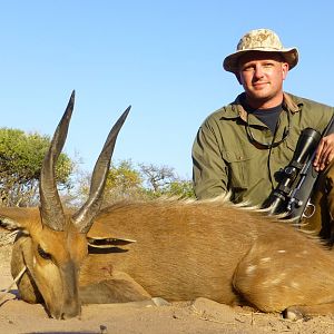 South Africa Hunting Bushbuck