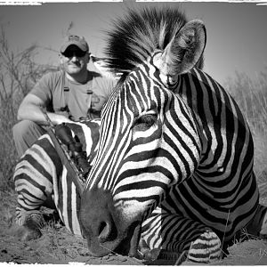 Zebra Hunt South Africa