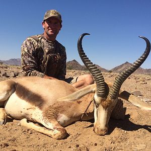 Kalahari Springbuck in Namibia Kaokoland