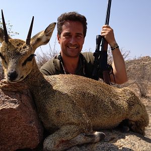 Klipspringer