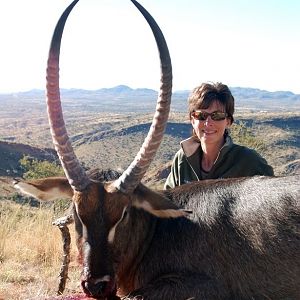 Waterbuck (Namibia)