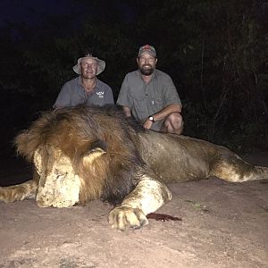 Hunting Lion in Zimbabwe