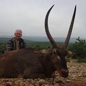 Hunting Waterbuck in South Africa