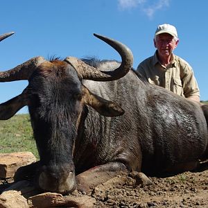 Blue Wildebeest Hunting in South Africa