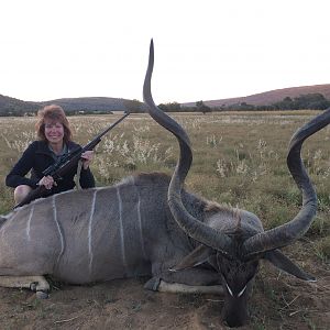 Kudu Hunt in South Africa