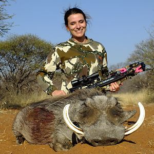 Bow Hunting Warthog in South Africa