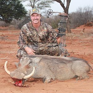 Bow Hunting Warthog in South Africa