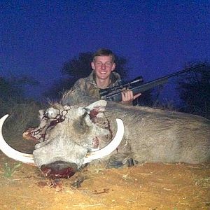 Hunting Warthog in South Africa