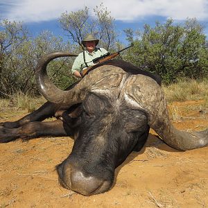 Hunting Buffalo in South Africa