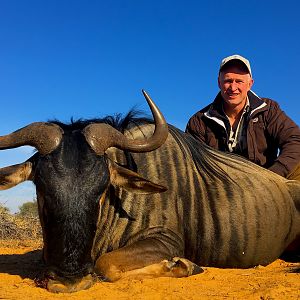 Blue Wildebeest Hunting in South Africa