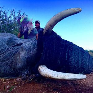 South Africa Elephant Hunting