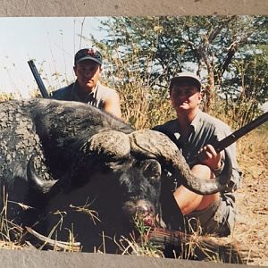 Hunting Buffalo Botswana