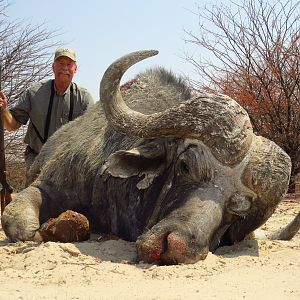 One of my favourite Buffalo bulls! Hunting