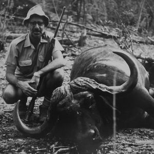 Buffalo Hunt Tanzania