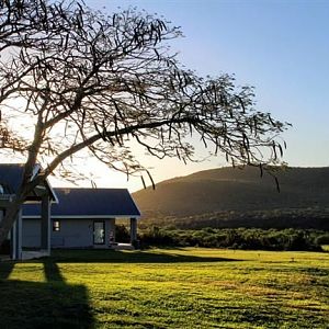 Hunting Accommodation Kudu Ridge Lodge