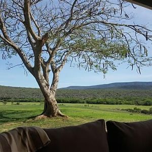 Hunting Accommodation View from Kudu Ridge Lodge