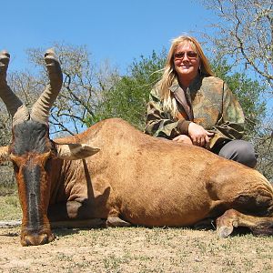 Red Hartebeest Hunt South Africa