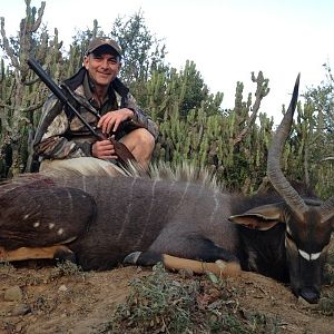 Nyala Hunt South AFrica