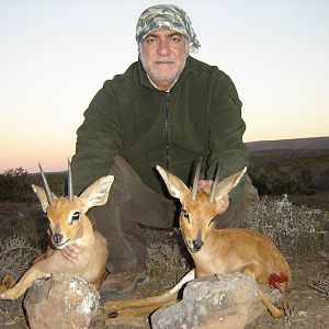 South Africa Steenbok Hunting