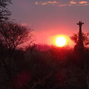 Namibia 2016