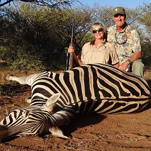 Hunt Zebra in South Africa