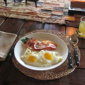 Hunting Accommodation Food Westfalen Hunting Safaris